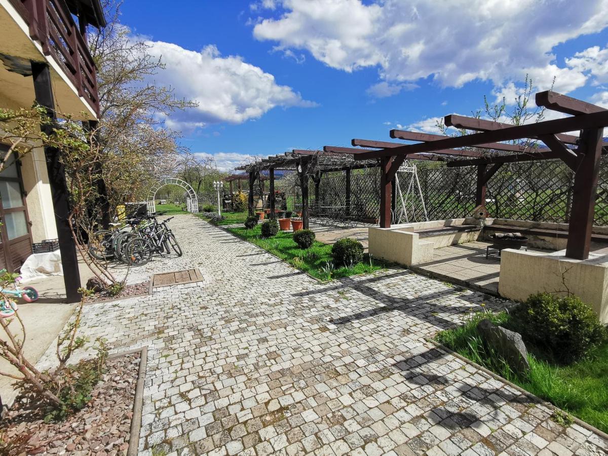 Pensiunea Casa Moga Bucium  Exteriér fotografie