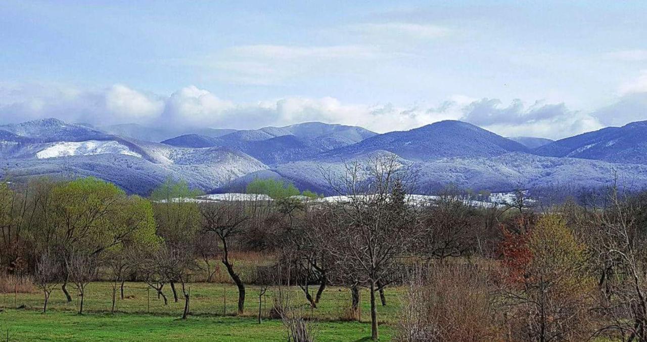 Pensiunea Casa Moga Bucium  Exteriér fotografie