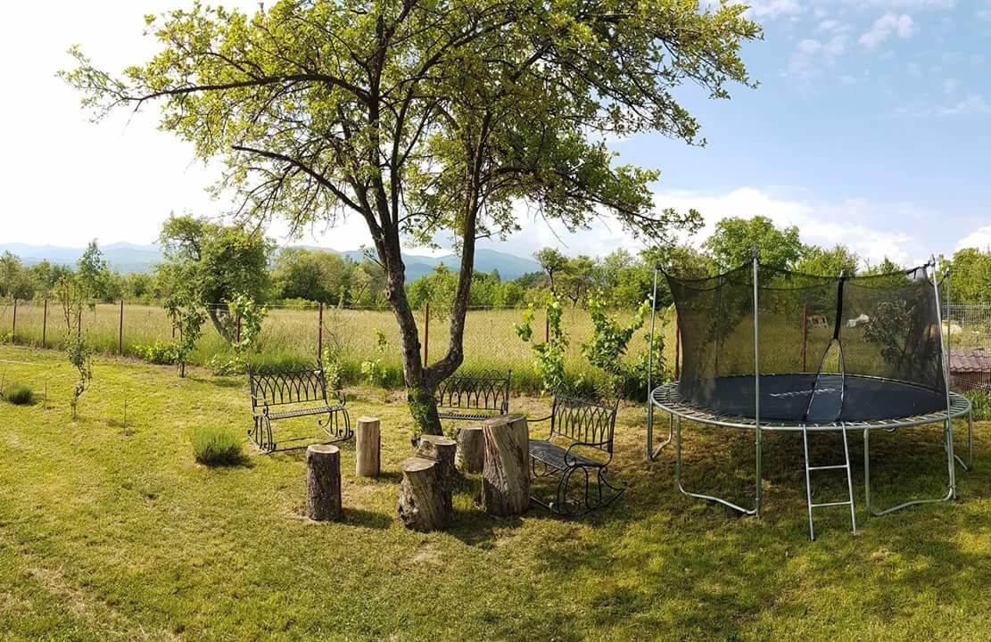 Pensiunea Casa Moga Bucium  Exteriér fotografie
