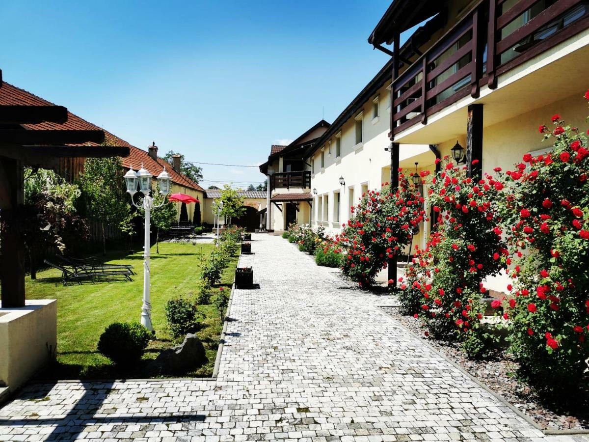 Pensiunea Casa Moga Bucium  Exteriér fotografie